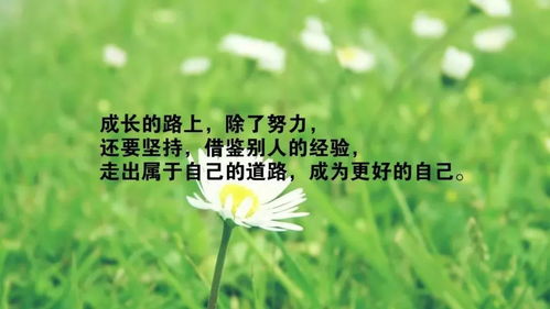 如何挽回自己的开心,走出低谷，寻回快乐