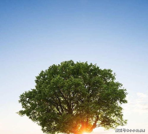 挽回你的尊严,如何重树自信