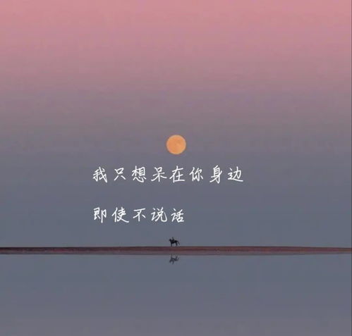 情感依恋挽回文案,情感挽回文案：如何让TA重新爱上你？