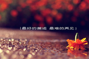 挽回复合后感情,成功挽回爱情，重燃感情火花！