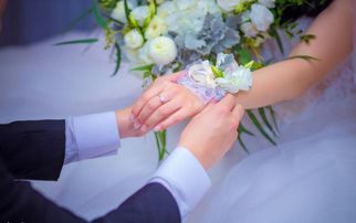 怎样挽回插足的婚姻,插足婚姻救回计划