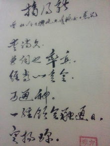 说错话挽回的诗句,挽救言不当，押韵心有愧。——诗句重写为《悔过诗：言语得当》