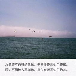 失去民心该如何挽回,如何挽回失去的民心？