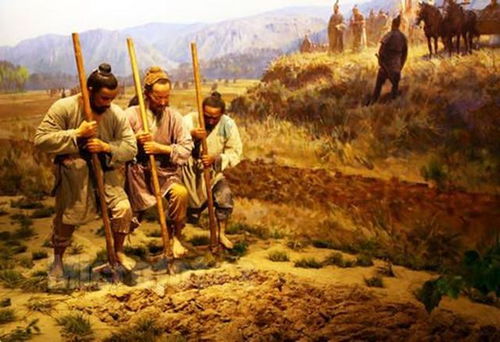 天灾过后农民如何挽回,天灾后农民复苏秘诀