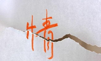 怎么挽回拒绝过的,如何挽回被拒绝的对象