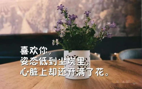 如何挽回爱情文案感动,如何用真心触动你的TA？