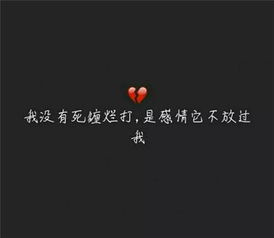 挽回感情的情话图片,说一句真心话，期待的回归