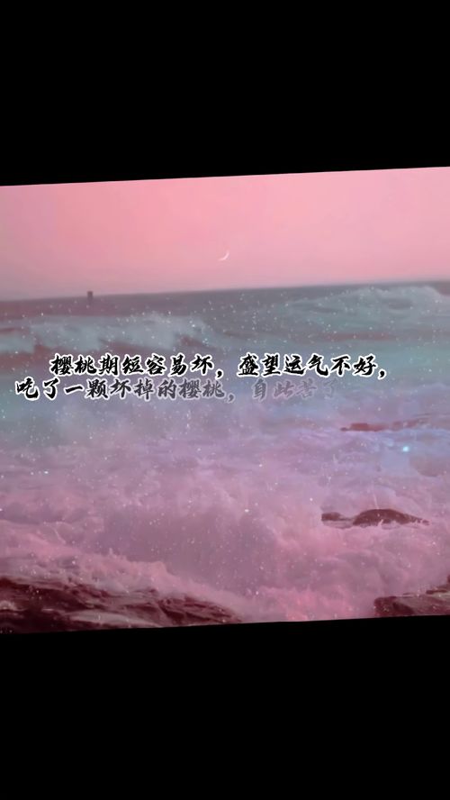 想挽回的语录文案,这就是爱情，就该死死地去爱别放手，去追寻