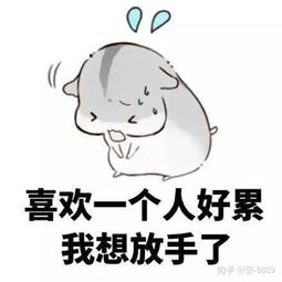 男生不理你你想挽回,挽回不理你的男生