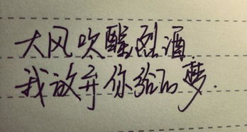 感动女友挽回的句子,挽回女友感动心，重获爱情真情意。