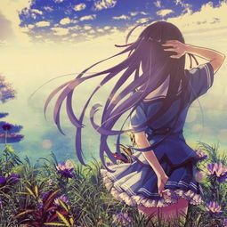 狐仙可以挽回感情吗,狐仙可否救回感情？)