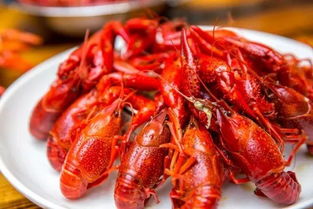 小龙虾挽回分手,小龙虾重新走到一起