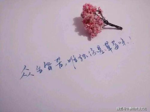 言语伤到朋友怎么挽回,挽回友谊的方法