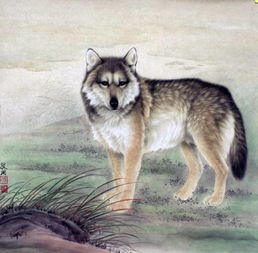 挽回属蛇白羊女,如何挽回白羊女和属蛇男？