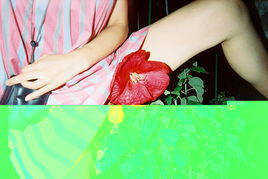 男人挽回女人遭拒绝,如何挽回女人的心？