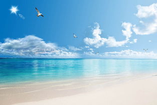 大海可以挽回爱情吗,海的力量：能否救回爱情