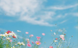 挽回爱人的话生日简短,生日挽回爱人，爱的新约定