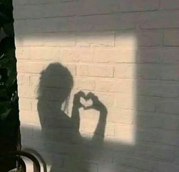 错过了值得挽回吗,失去的是否应该追回？