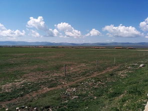 甘南感情挽回收费,甘南地区的感情挽回收费