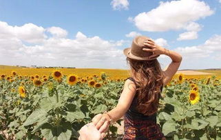 怎么挽回口是心非的女人,口是心非的女人如何挽回