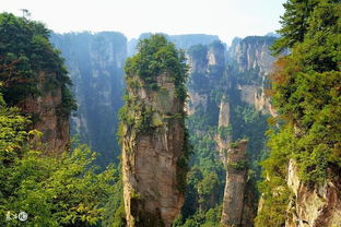 张家界挽回爱情咨询，如何在张家界挽回失去的爱情？