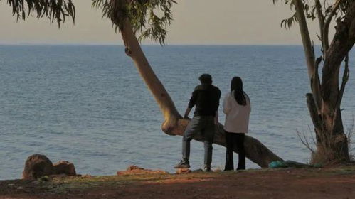 无法挽回的绝望,无法挽回的绝望→绝望无法扭转