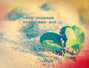 真心付出的情感挽回,真情挽回：付出爱与真心