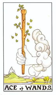 占卜ta挽回你吗,占卜结果：挽回ta的办法！