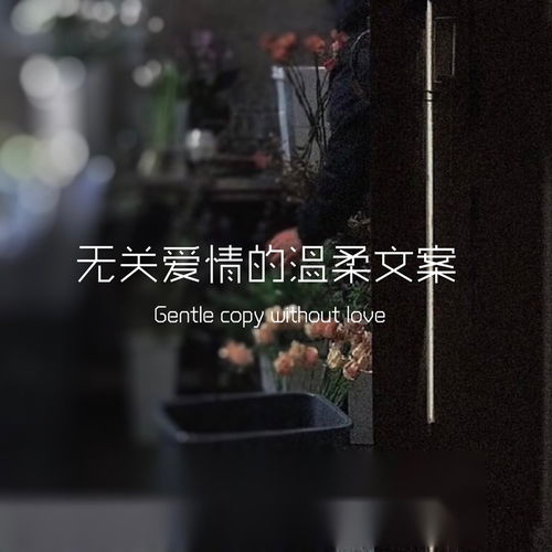 挽回她的文案简短,挽回爱情，如何做的更好？