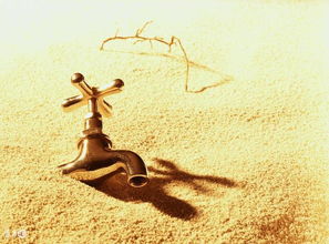 白羊怎样挽回双子男，如何成功挽回双子男的心？