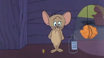 杰瑞想挽回汤姆,杰瑞努力挽留汤姆