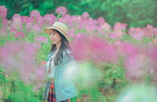 白羊女挽回怎么开口,如何开口挽回白羊女