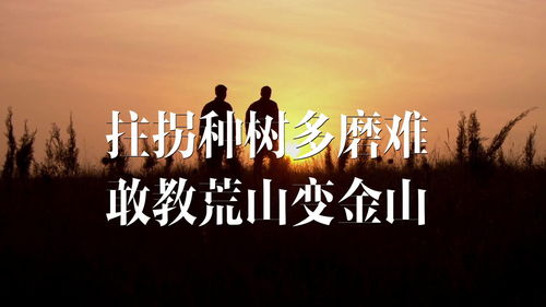 常州博巨情感挽回，常州博巨情感修复：一个令人感动的故事