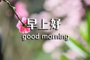 挽回的经典情话短句,情话短句：你是我一生中最美的风景新标题：你，我生命中最美的景色