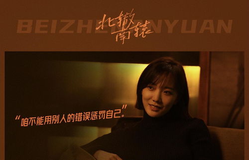 挽回颜面电视剧,重振荣光：电视剧重新命名