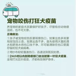 挽回错误最好的办法,挽回错误的最佳方法
