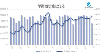 怎么挽回btc亏损,重建信心，抢救比特币亏损