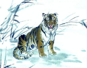 属虎人挽回爱情,属虎人如何挽回爱情？