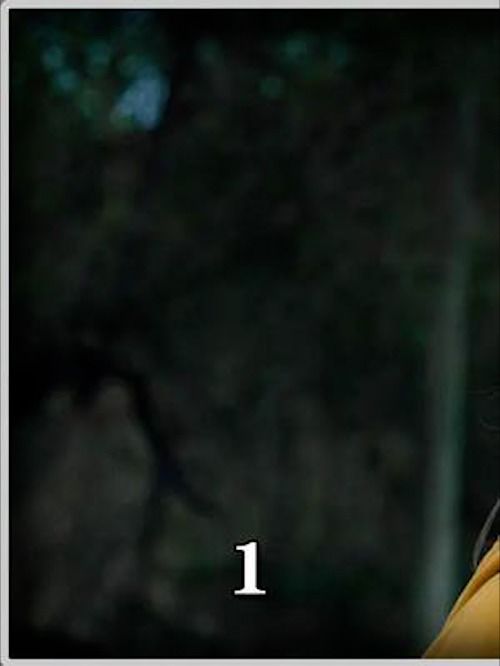 却无法挽回她,无法拯救她，折磨痛楚不止