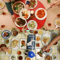 挽回丈夫提高厨艺动画,为挽回夫心，炮制好美食