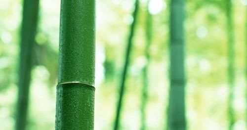 深圳破镜重圆公司挽回,深圳公司成功挽回，破镜重圆