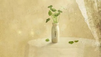 挽回女人的早安语,如何用一句话挽回女人的心