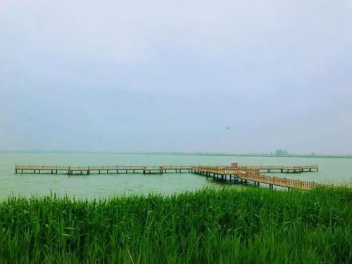 巴彦淖尔挽回之家,巴彦淖尔挽回家庭的故事