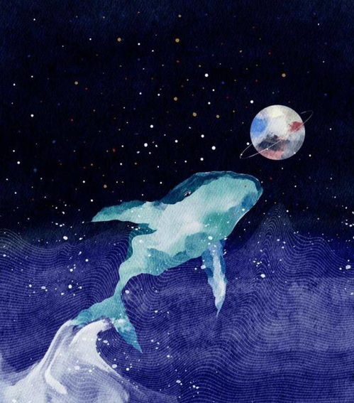 挽回复合鲸落,挽回失去的爱：如何成功复合？