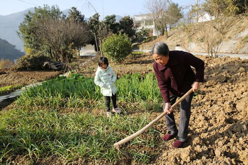 安家如何挽回林茂,安家如何成功挽回林茂→安家挽救林茂的秘诀