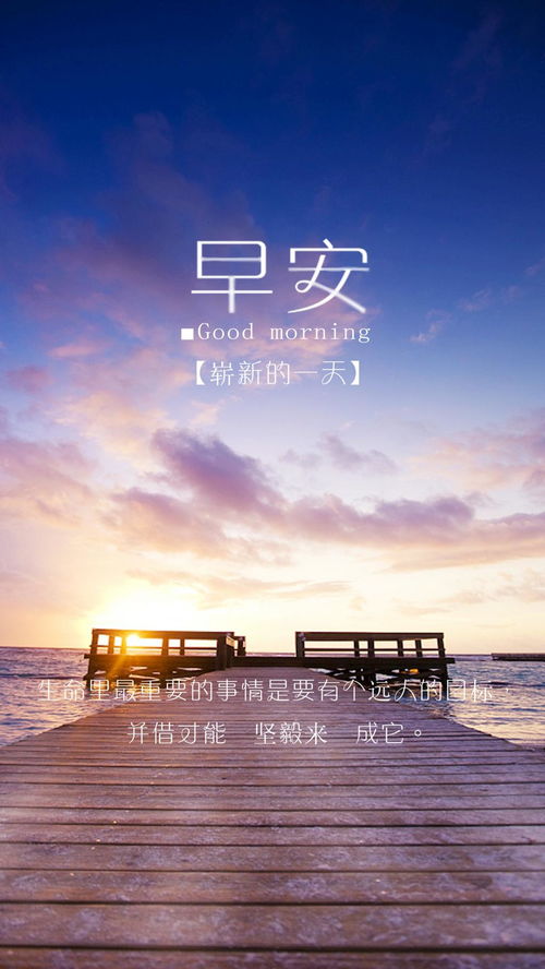 挽回摩羯心好累,挽回摩羯心，努力不懈