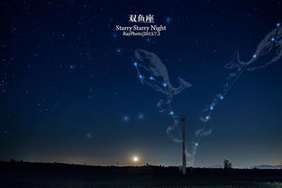 星座疗伤师挽回双鱼,星座咨询师助你挽回双鱼