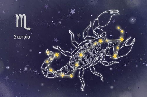 最难挽回的星座天蝎事业，天蝎座：掉进事业谷底后如何重获新生？