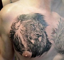 感情挽回狮子纹身文案,怎样用狮子纹身挽回爱情？