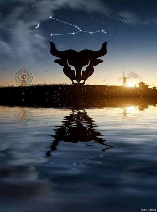 摩羯会不会挽回,摩羯星座能否成功挽回？